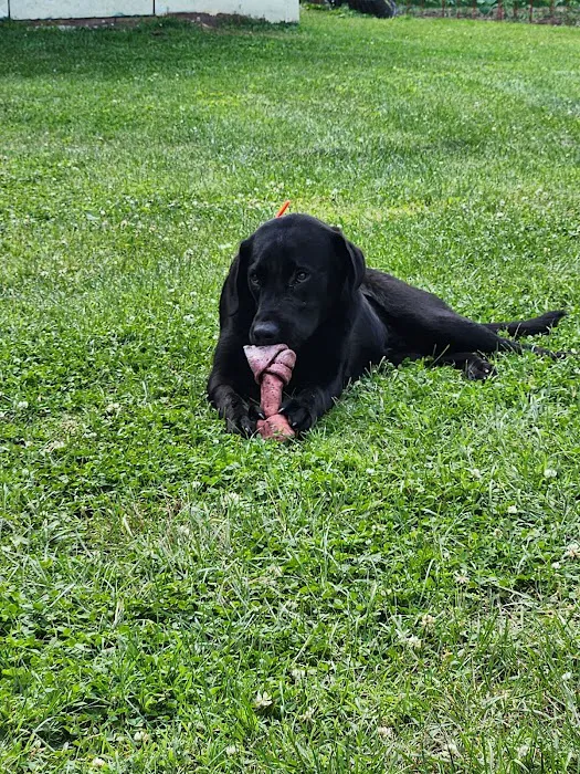 Deaton Veterinary Clinic Picture 8