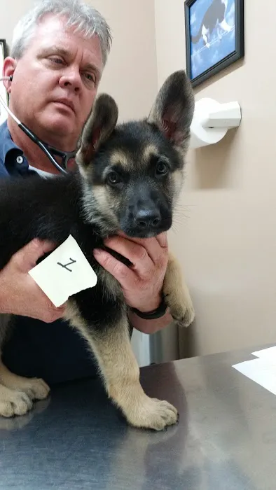 Animal House Veterinary Clinic Picture 2
