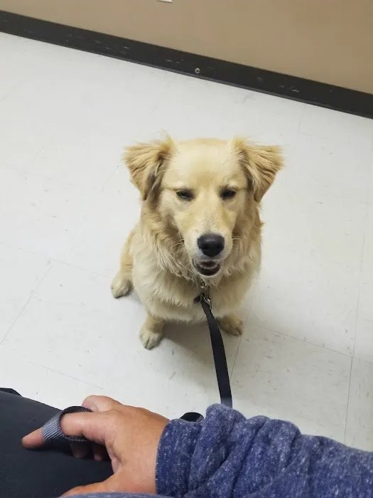 Animal House Veterinary Clinic Picture 1