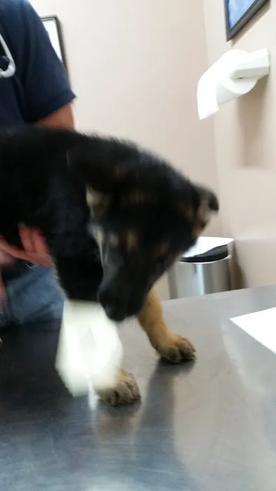 Animal House Veterinary Clinic Picture 10