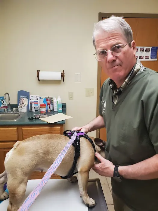 Boyce Animal Hospital Picture 3