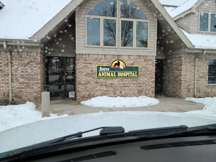 Boyce Animal Hospital Picture 1