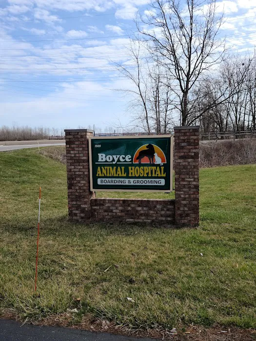 Boyce Animal Hospital Picture 2