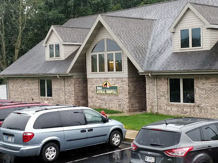 Boyce Animal Hospital Picture 6