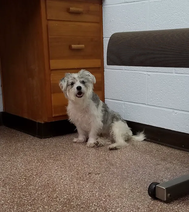 Westview Animal Clinic Picture 1
