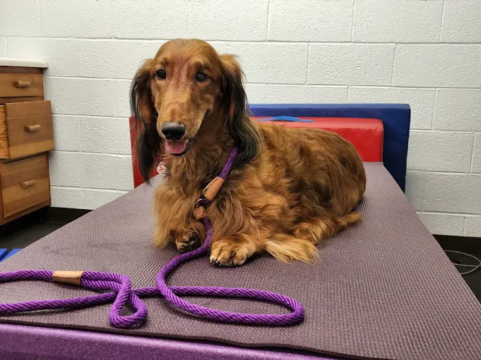 Westview Animal Clinic Picture 2