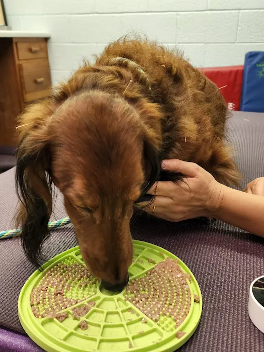 Westview Animal Clinic Picture 4
