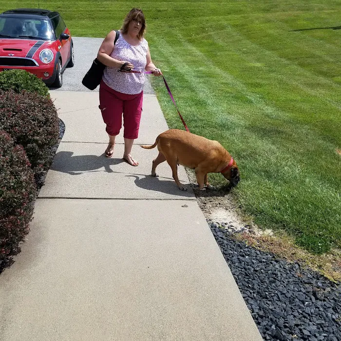 Tri-County Veterinary Clinic Picture 1