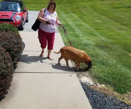 Tri-County Veterinary Clinic