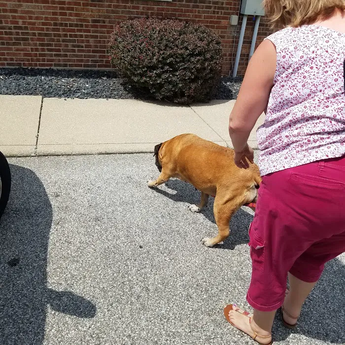 Tri-County Veterinary Clinic Picture 2