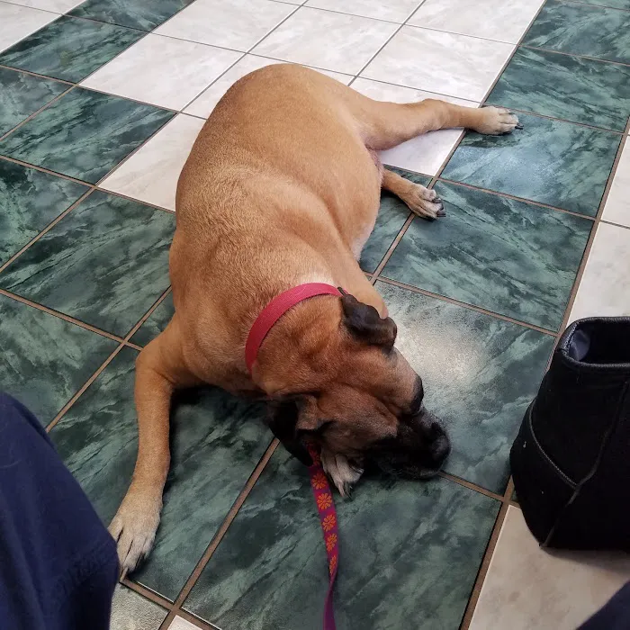 Tri-County Veterinary Clinic Picture 5