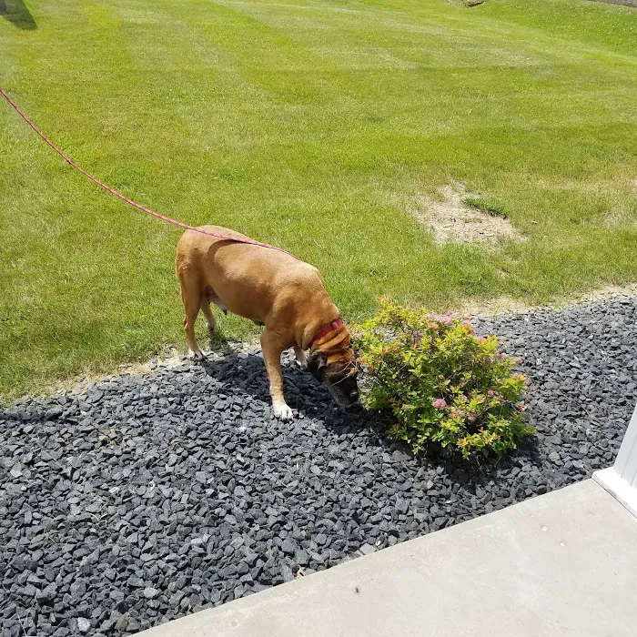 Tri-County Veterinary Clinic Picture 9