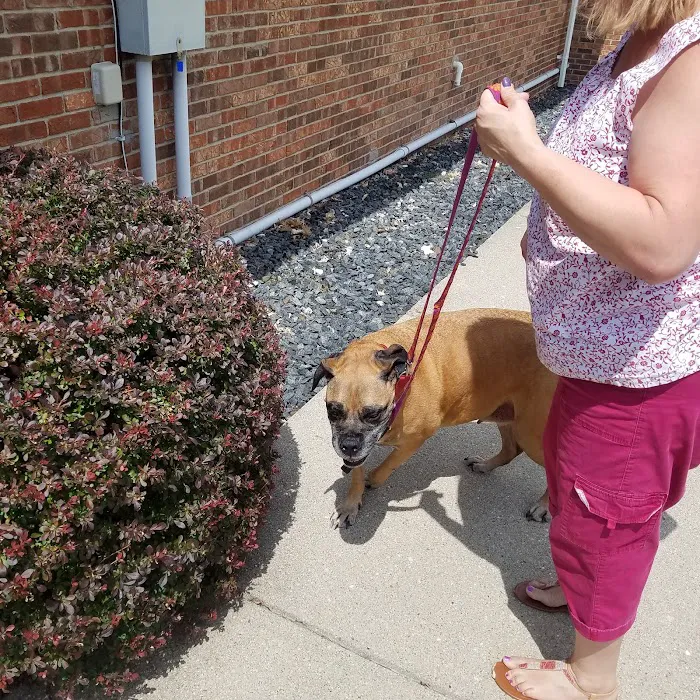 Tri-County Veterinary Clinic Picture 8