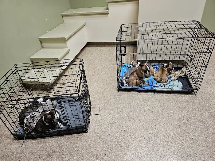 Dearborn County Animal Clinic Picture 4