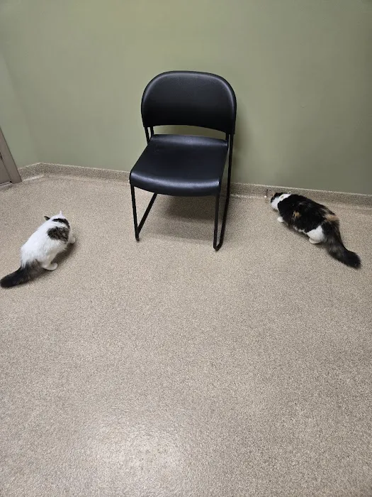 Dearborn County Animal Clinic Picture 3