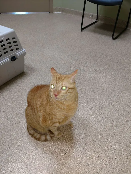 Dearborn County Animal Clinic Picture 6