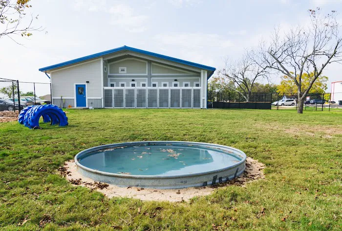 County Line Veterinary Clinic Picture 2
