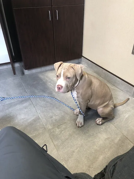 County Line Veterinary Clinic Picture 9