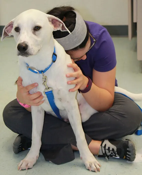 County Line Veterinary Clinic Picture 8