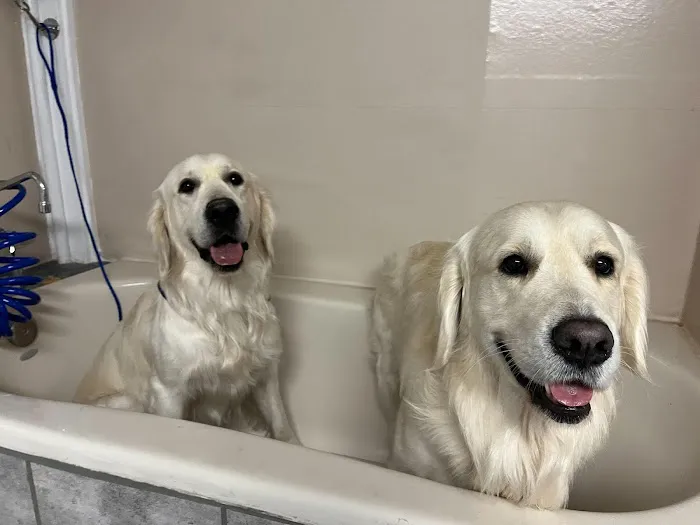 Pet's Choice Animal Hospital Picture 1