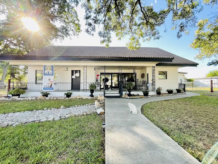 Pet's Choice Animal Hospital Picture 2