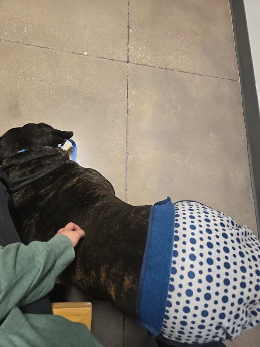 Thrive Pet Healthcare - New Braunfels Picture 2