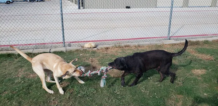 Clear Springs Veterinary, Dr. Brandon McBride Picture 4