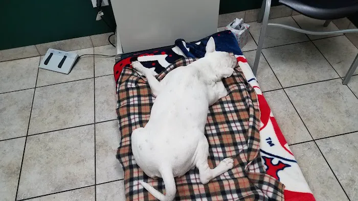 Fischer Veterinary Clinic Picture 5