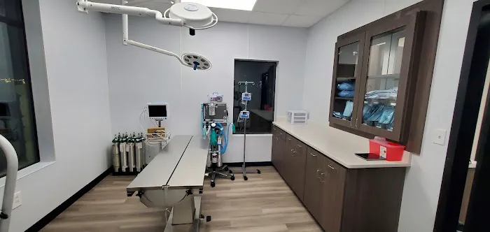 Cutting Edge Pet Clinic Picture 4