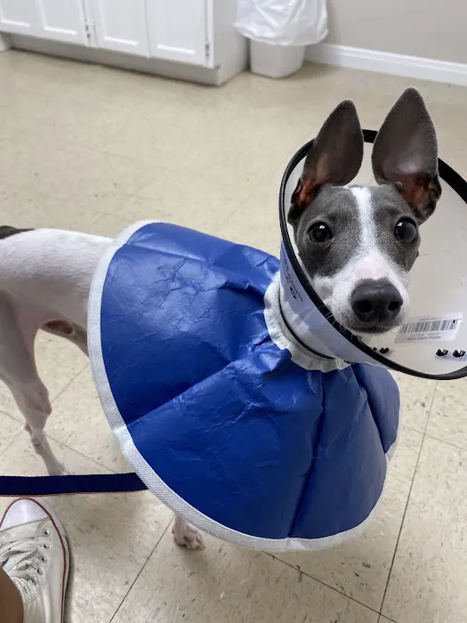 Fair Oaks Ranch Veterinary Picture 1