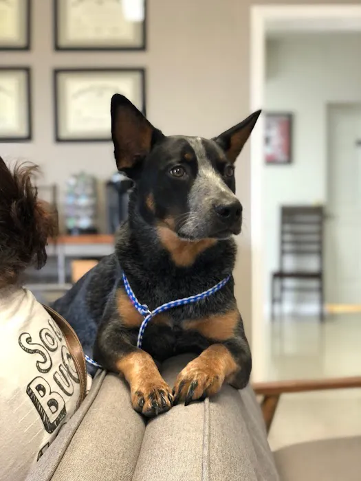 Fair Oaks Ranch Veterinary Picture 9