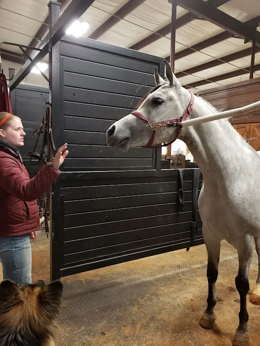 Hill Country Equine Picture 3