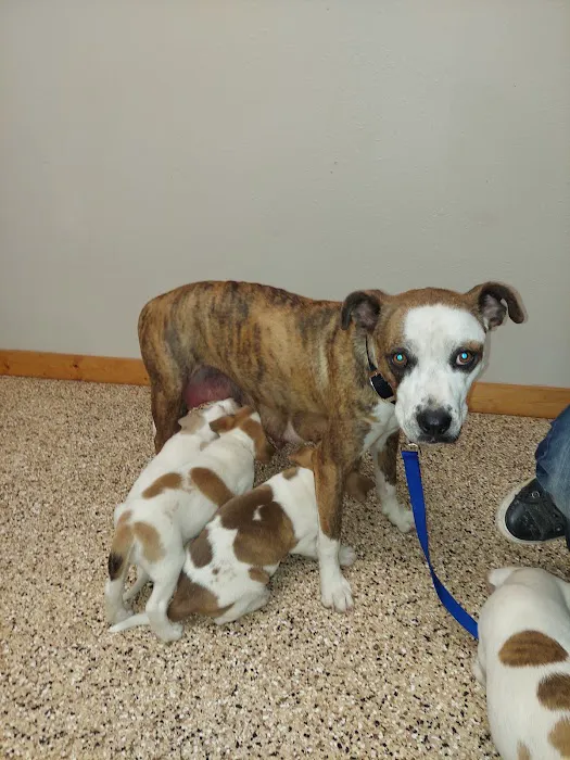 Kendall County Veterinary Center Picture 3