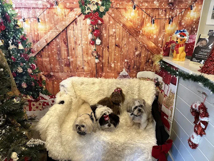 Kendall County Veterinary Center Picture 10