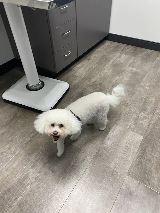 Herbst Veterinary Hospital Picture 8