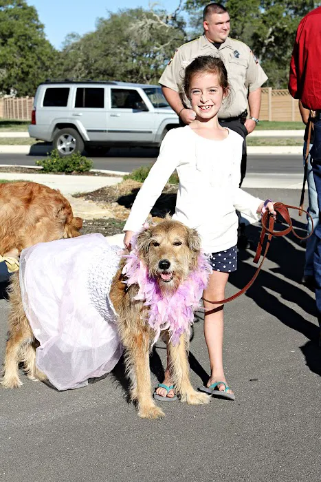 Cibolo Creek Veterinary Hospital Picture 6