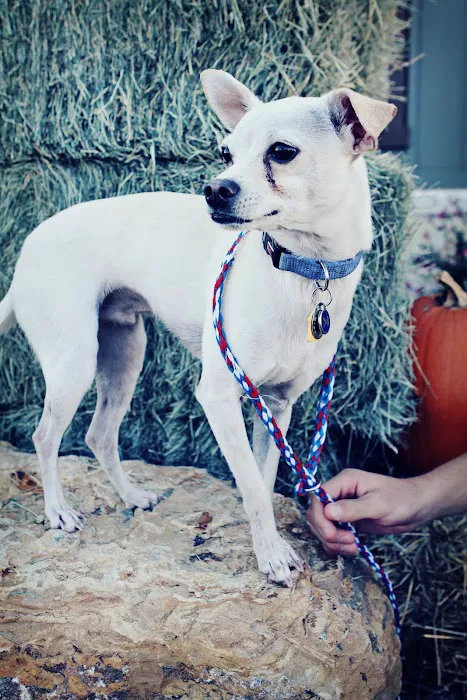 Cibolo Creek Veterinary Hospital Picture 10