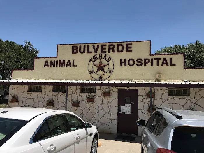 Bulverde Animal Hospital Picture 3