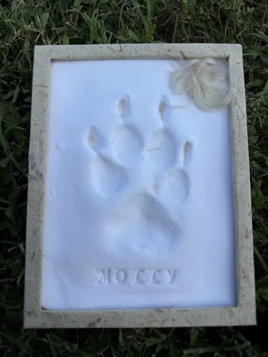 Stepping Stone Veterinary Care Picture 3