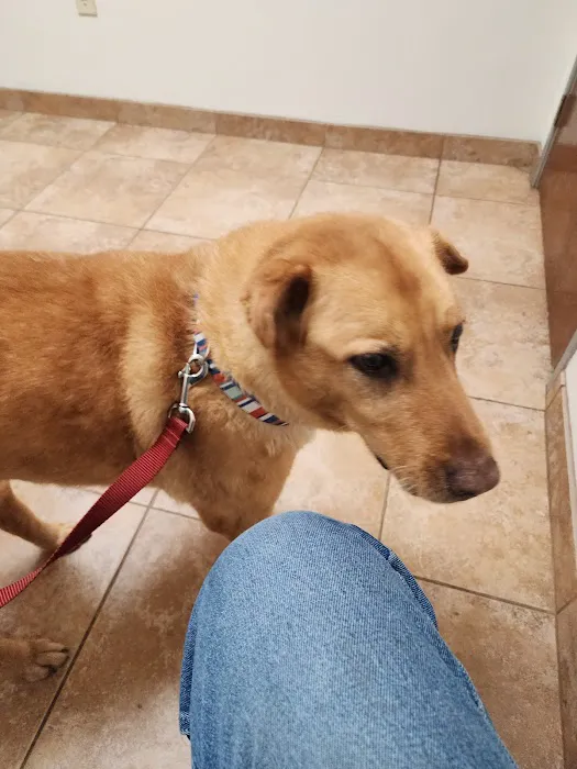 Country Hills Veterinary Clinic Picture 1