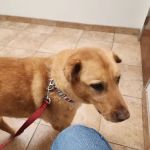 Country Hills Veterinary Clinic