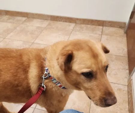 Country Hills Veterinary Clinic
