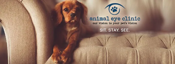 Animal Eye Clinic Picture 2