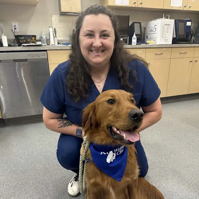 Springmill Pet Wellness Clinic Picture 3