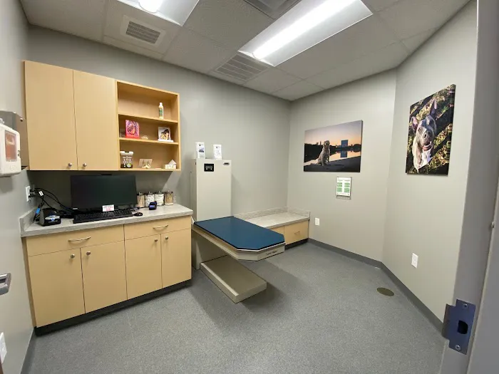 Springmill Pet Wellness Clinic Picture 1