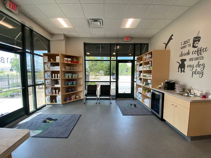 Springmill Pet Wellness Clinic Picture 6