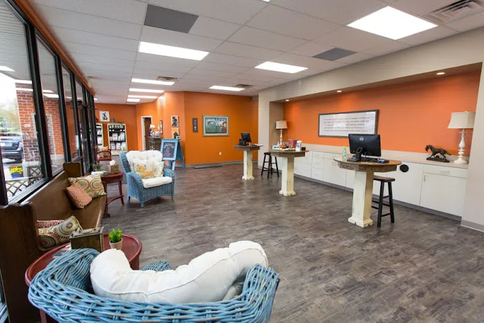 All-Star Veterinary Clinic Picture 1