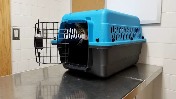 Town & Country Veterinary Clinic Picture 3