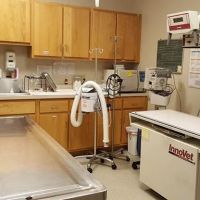 College Mall Veterinary Hospital ico