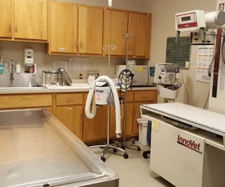 College Mall Veterinary Hospital